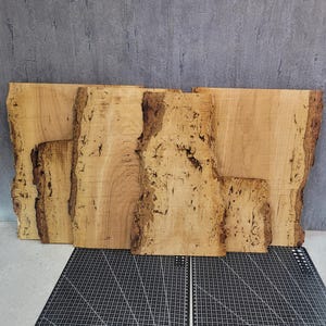 Set Sawn veneer burl oak Deko board grain  set plate rustic rose oak