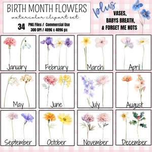 Conjunto de imágenes prediseñadas de flores del mes de nacimiento con floreros, flores de acuarela, flores de nacimiento para regalos personalizados, conjunto de flores mensuales, descarga