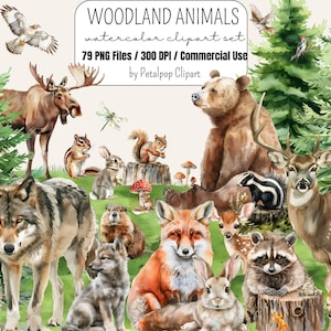 Clipart animaux des bois, forêt aquarelle, bébés animaux des bois, pépinière des bois, clipart forêt, clipart téléchargeable, usage commercial