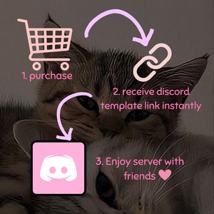 May include: Illustration showing how to purchase a Discord server template. A shopping cart icon, a link icon, and a Discord logo are shown with arrows indicating the steps. The background image is of two cats.