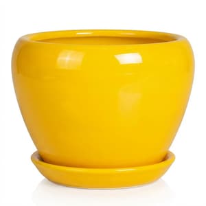 Słonecznożółta ceramiczna doniczka z podstawką (15,5 cm) – nowoczesna miska na rośliny doniczkowe