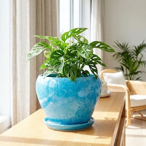 Sky Blue Ice Crackle Ceramic Planter Pot (6.3 Inch) Coastal Marble Glaze Flower Pot