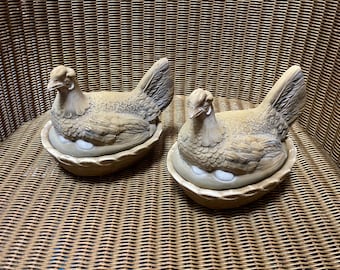 Gallina d'epoca sul nido con porta-uova