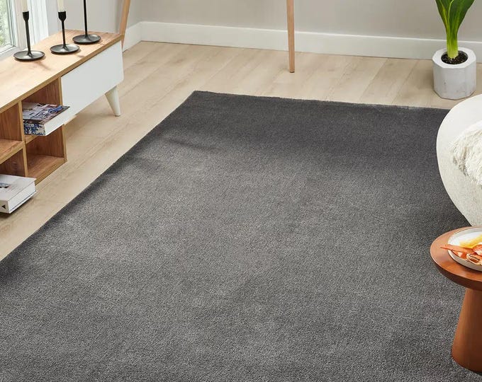 Anthracite Color Microfiber Carpet – Soft, Dust-Free, Modern Living Room Rug