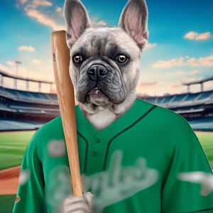 Baseball lover gift, custom pet in uniform, cat baseball player, funny dog portrait, unique baseball fan gift, pet with bat