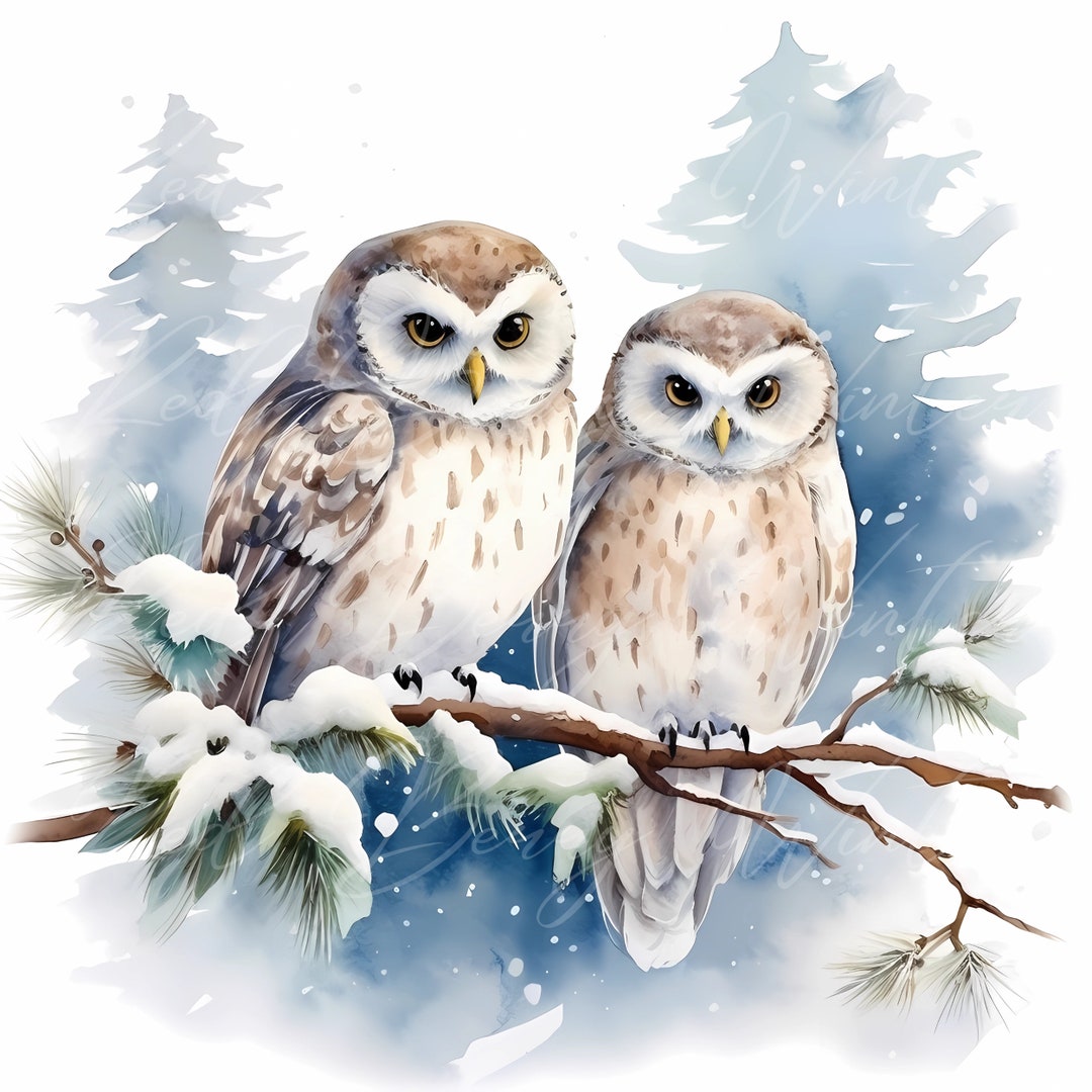 10 Winter Owl Clipart Images High-resolution JPEGS 300 DPI Winter ...