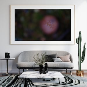 Riflesso nella foresta mistica - Stampa artistica digitale della natura astratta / Download istantaneo di opere d&#39;arte da parete / Fotografia di giochi d&#39;ombra