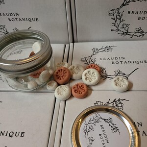 May include: A clear glass jar with a silver lid filled with small, white and brown round objects. Several round, floral-designed objects in white and terracotta colors are scattered around the jar. The packaging reads "BEAUDIN BOTANIQUE".
