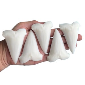 Resin cast-  Replica 3&quot;+ Lesser White(mako Fossil Shark Teeth