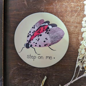 stap op mij - grote vinylsticker - sticker/bumpersticker/stickers gevlekte lantaarnvlieg - waterdicht!!
