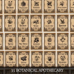 Könnte beinhalten: Eine Sammlung von 35 botanischen Apothekenkarten mit verschiedenen Kräutern und Pflanzen, darunter Baldrian, Passionsblume und Pfefferminze. Jede Karte zeigt eine detaillierte Illustration und Text auf beigem Hintergrund mit schwarzem Zierrand. Der Text "35 BOTANICAL APOTHECARY" steht unten.