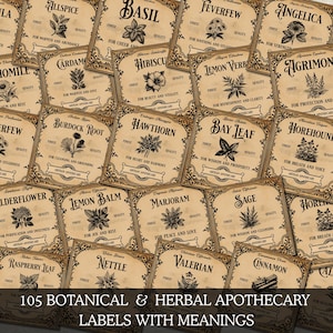 Puede incluir: Una colección de 105 etiquetas de boticario botánicas y herbales con significados. Las etiquetas presentan varias hierbas y plantas, con textos como "Albahaca", "Fiebre" y "Angélica". Las etiquetas son de estilo vintage con bordes decorativos.