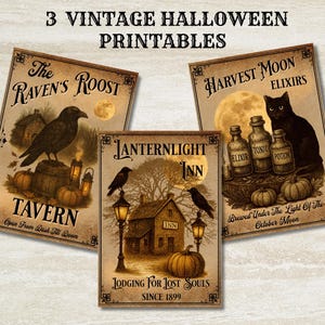 Puede incluir: Tres imprimibles vintage de Halloween con temática espeluznante. Los estampados presentan ilustraciones de un cuervo, un gato negro, calabazas y una luna llena. El texto incluye "The Raven's Roost Tavern", "Harvest Moon Elixirs" y "Lanternlight Inn".