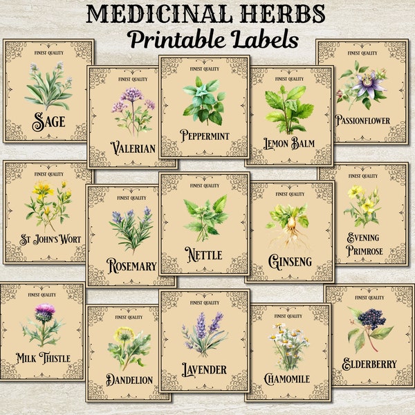 Medicinal Herbs - Etsy