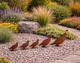 Rustic Metal Quail Family Set of 5 Southwest Yard Art