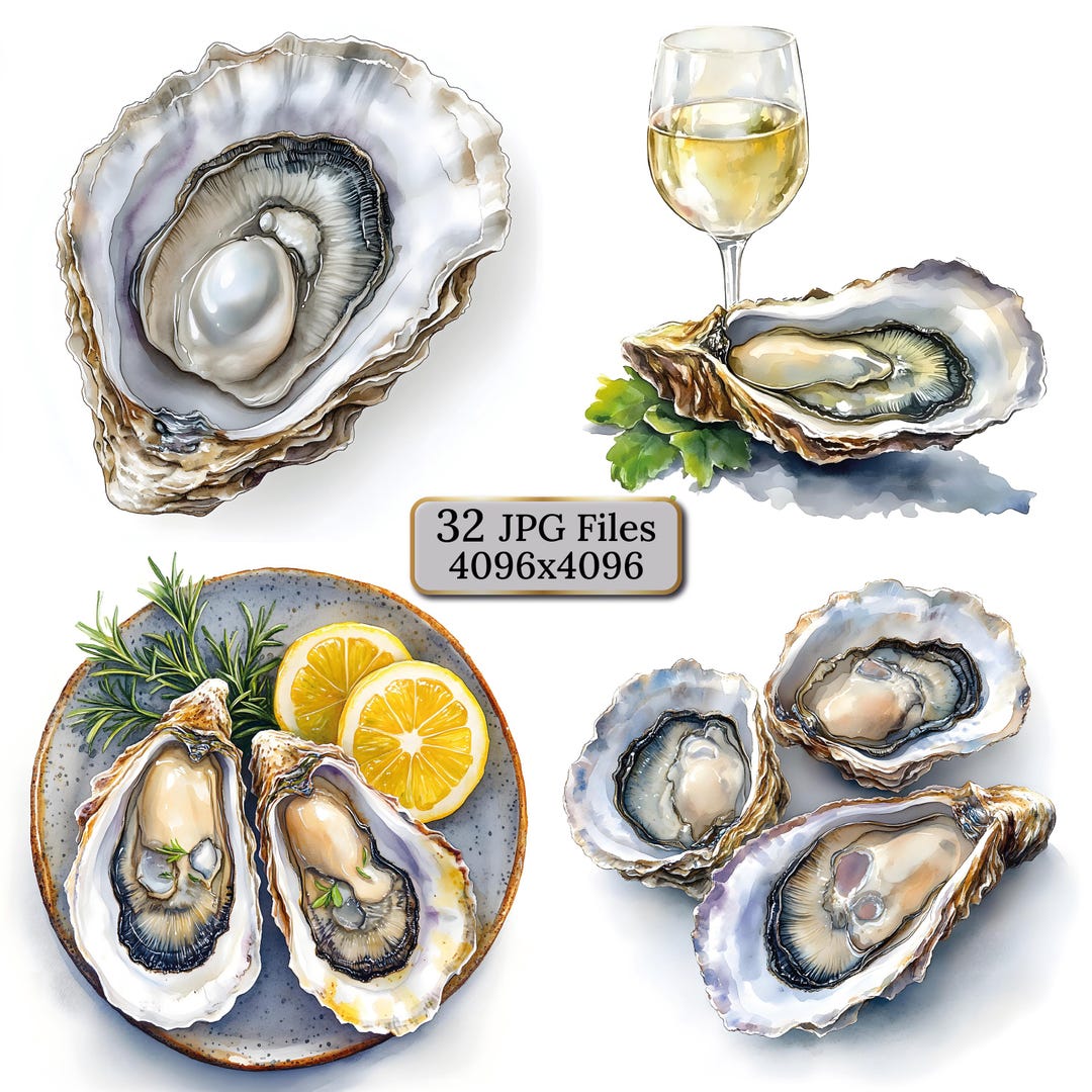 Realistic Watercolor Oyster Clipart – Gourmet Shellfish, Fresh Oysters ...