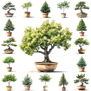 28 Clipart di alberi in vaso acquerellati: quercia, pino, betulla, acero, sequoia, abete – Arte minimalista botanica, artigianato di carta, diario di scarto, arte rustica