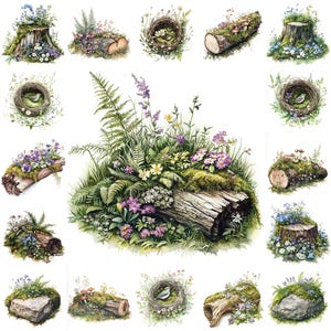 Enchanted Forest Watercolor Clipart – 22 Woodland Nature Illustrations | Mossy Logs, Tree Stumps, Bird Nests & Wildflowers | Rusticart