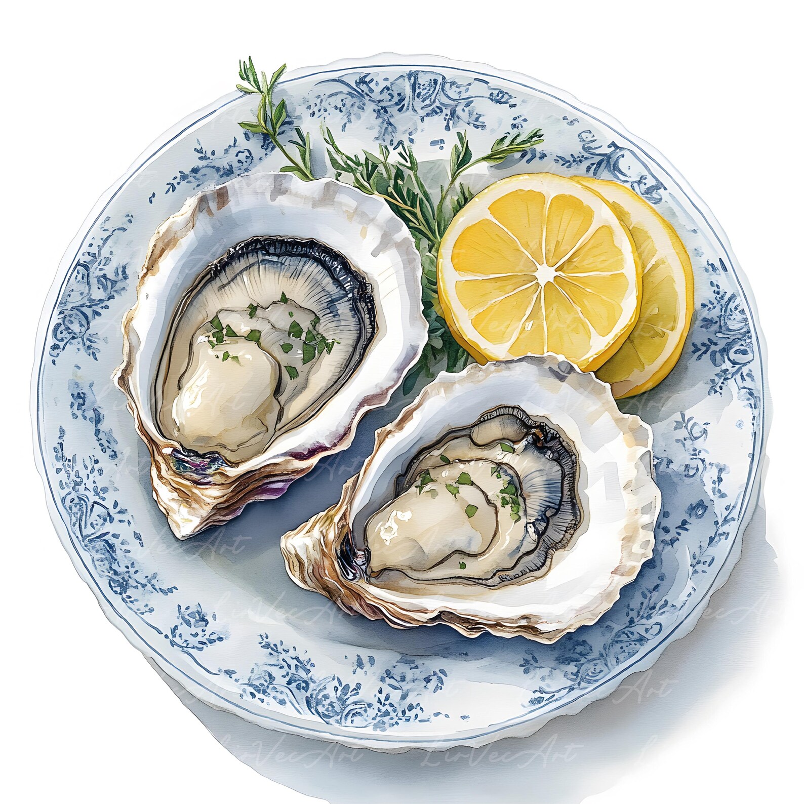 Realistic Watercolor Oyster Clipart – Gourmet Shellfish, Fresh Oysters ...
