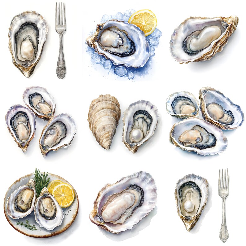 Realistic Watercolor Oyster Clipart – Gourmet Shellfish, Fresh Oysters ...