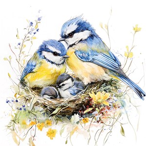 Imágenes prediseñadas de pájaros enamorados en acuarela: 21 ilustraciones de alta resolución: parejas de pájaros románticos, nidos y flores, pegatinas, álbumes de recortes, planificadores