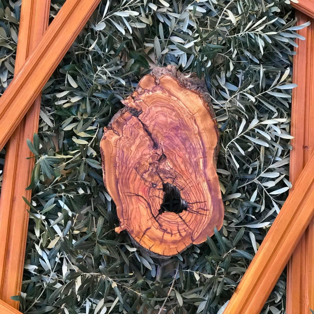 Live Edge Curl Olive Wood for DIY Wood Art, Live Edge Olive Wood