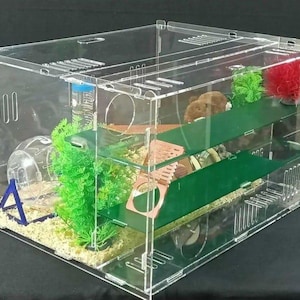 May include: A clear acrylic hamster cage with two levels, a green platform, a blue exercise wheel, and a small blue ladder. The cage also includes a brown and white hamster, green and red plastic plants, and a clear water bottle.