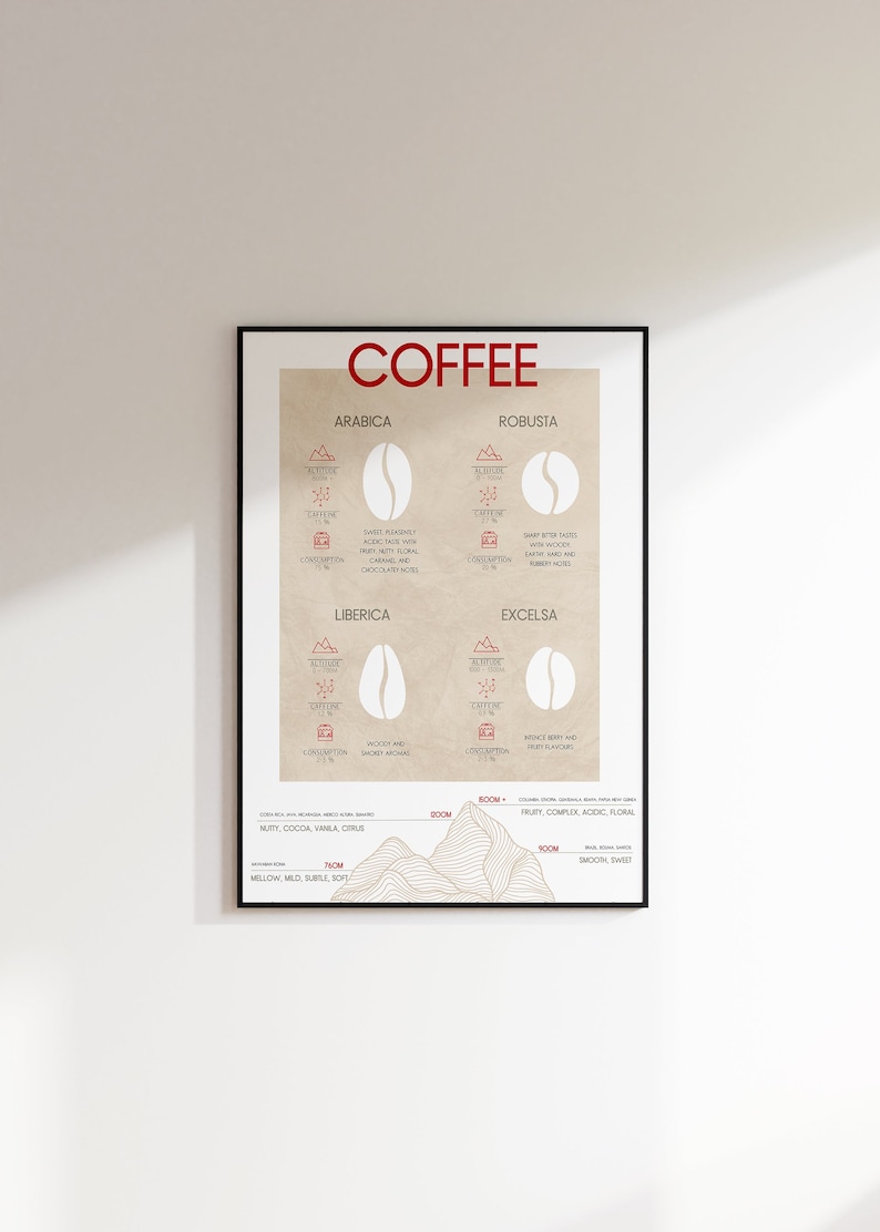 coffee bean type wall art print descriptive explanation of different coffee bean types, coffee art, coffee poster, coffee present image 1