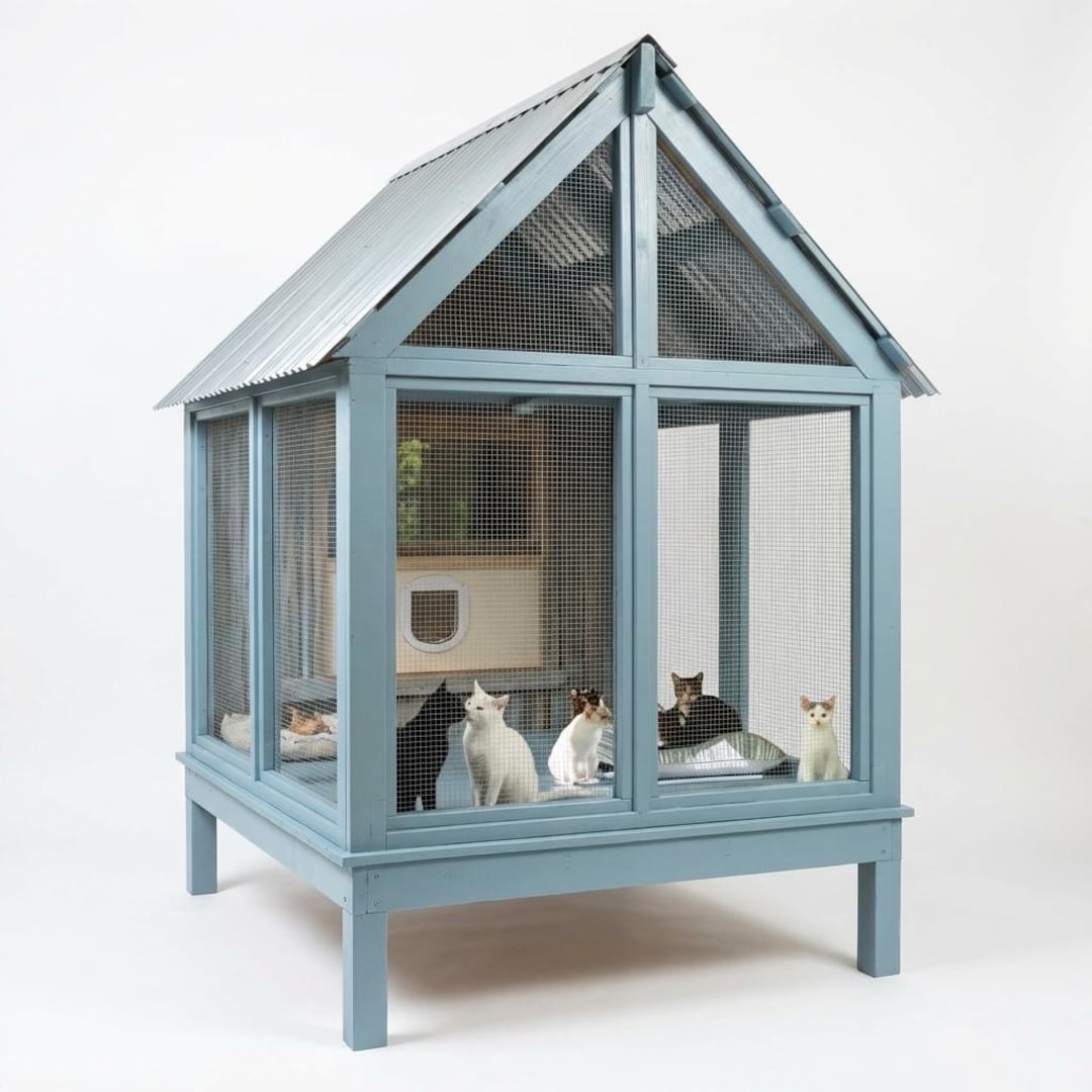 DIY Catio, Detailed Construction Plans, Outdoor Cat Enclosure ...