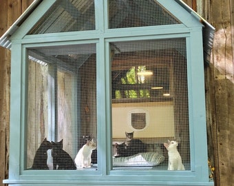 The Catio from Nahimana Forest Kitten Rescue