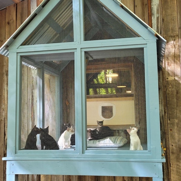 The Catio from Nahimana Forest Kitten Rescue