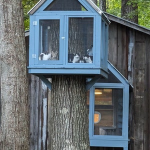 Catio with Catwalk and "Treehouse", Detailed Plans Outdoor Cat House, DIY Catio Plans
