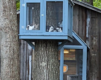 Catio with Catwalk and "Treehouse"