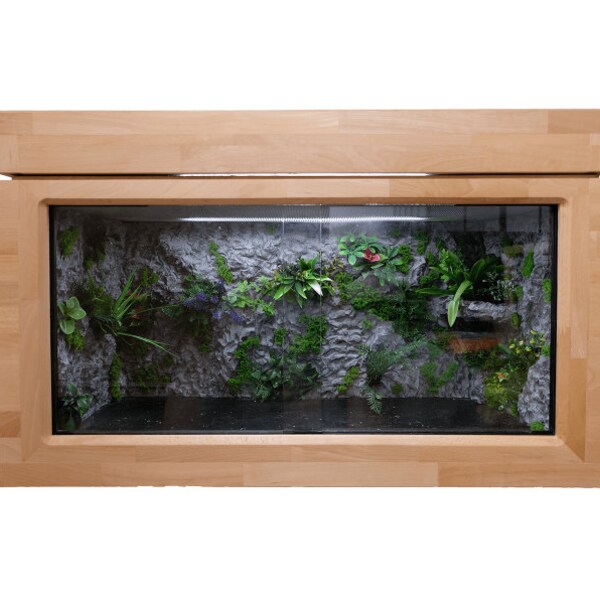 Vivarium Background Etsy