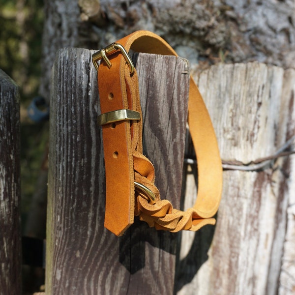 Halsband mit Schnalle und Flechtdetails aus Fettleder - Lederhalsband für Hunde in verschiedenen Größen