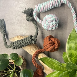 Könnte beinhalten: Eine Auswahl an Hundespielzeugen aus Seilen in verschiedenen Farben. Ein Spielzeug ist grün, ein anderes braun, und ein drittes kombiniert Rosa und Hellblau. Die Spielzeuge sind auf einem Stück Treibholz angeordnet und von Pflanzen umgeben.