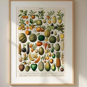 Vintage botanische poster fruit – antieke educatieve kaart met kleurrijk tropisch fruit en tuinvruchten voor muurdecoratie keuken of eetkamer