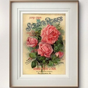 Antique Rose Catalogue Poster, Vintage Botanical Flower Print, Victorian Garden Wall Decor, Pink Floral Illustration, Rustic Home Decoration