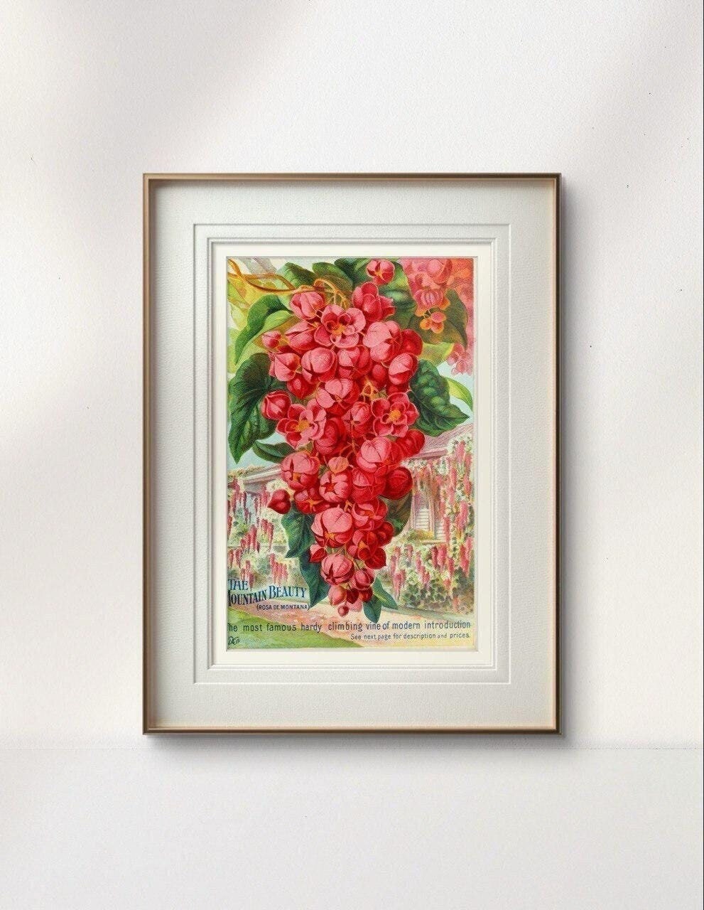 Vintage Botanical Fruit Poster, Antique Seed Catalogue Print, Red Berry  Illustration, Victorian Garden Wall Decor, Retro Nature Artwork
