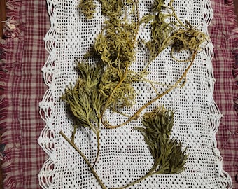 Vid de fuente verde Oasis