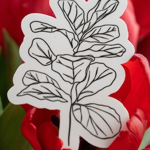 Geigenblatt Aufkleber, Geigenblatt, Geigenblatt Liebhaber, Geschenk für Pflanzenliebhaber, gemütlicher Pflanzenaufkleber, hochwertiger Pflanzenaufkleber, großer Pflanzenaufkleber