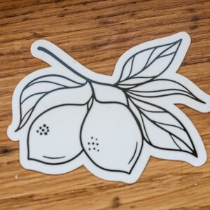 Zitronen Aufkleber, Zitronen, Zitronen Liebhaber, Pflanzenliebhaber Geschenk, gemütlicher Zitronen Aufkleber, Qualitätsaufkleber, Zitronenaufkleber, Küchenaufkleber