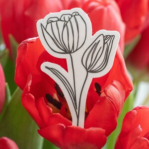 Tulpenaufkleber, Tulpe, Tulpenliebhaber, Blumenliebhabergeschenk, gemütlicher Blumenaufkleber, Qualitätsblumenaufkleber, großer Blumenaufkleber, großer Tulpenaufkleber