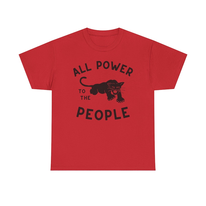 Black Panther Party Black Power revolutionary socialism self-defense community programs police brutality grassroots activism abolition abolish social justice collective action anti-oppression radical civil rights movement All Power to the People