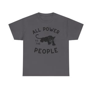 Black Panther Party Black Power revolutionary socialism self-defense community programs police brutality grassroots activism abolition abolish social justice collective action anti-oppression radical civil rights movement All Power to the People