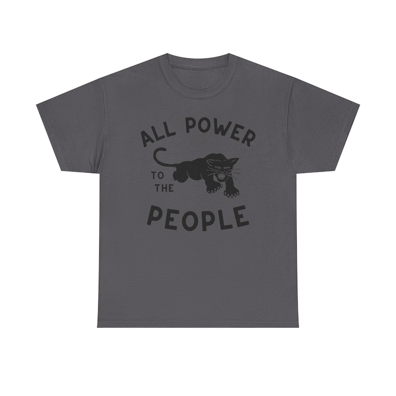 Black Panther Party Black Power revolutionary socialism self-defense community programs police brutality grassroots activism abolition abolish social justice collective action anti-oppression radical civil rights movement All Power to the People
