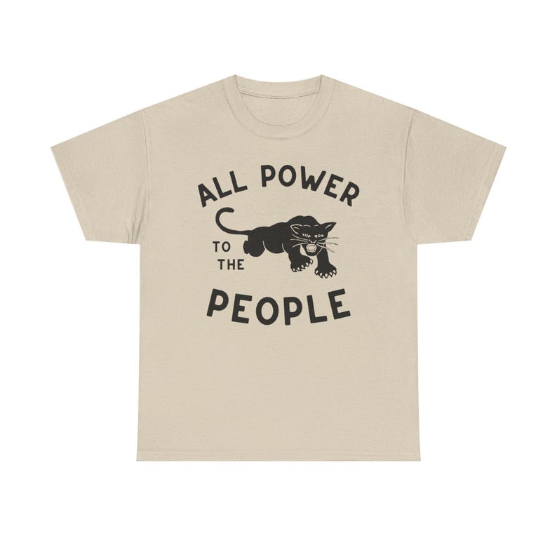 Black Panther Party Black Power revolutionary socialism self-defense community programs police brutality grassroots activism abolition abolish social justice collective action anti-oppression radical civil rights movement All Power to the People
