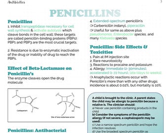 Studiegids antibiotica