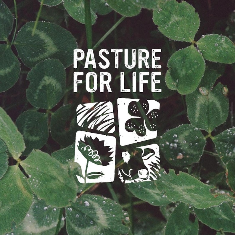 Puede incluir: Un logotipo gr&aacute;fico blanco con el texto PASTURE FOR LIFE sobre una cuadr&iacute;cula cuadrada que contiene cuatro ilustraciones: l&iacute;neas abstractas, un tr&eacute;bol de cuatro hojas, una flor y una cabeza de vaca, sobre un fondo de hojas de tr&eacute;bol verdes con roc&iacute;o.