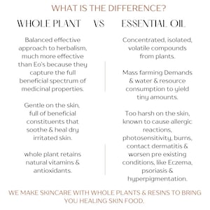 Puede incluir: Un gr&aacute;fico informativo titulado WHAT IS THE DIFFERENCE? que compara WHOLE PLANT frente a ESSENTIAL OIL. El texto describe los beneficios de las plantas enteras para la piel frente a la naturaleza concentrada y vol&aacute;til de los aceites esenciales y sus riesgos.